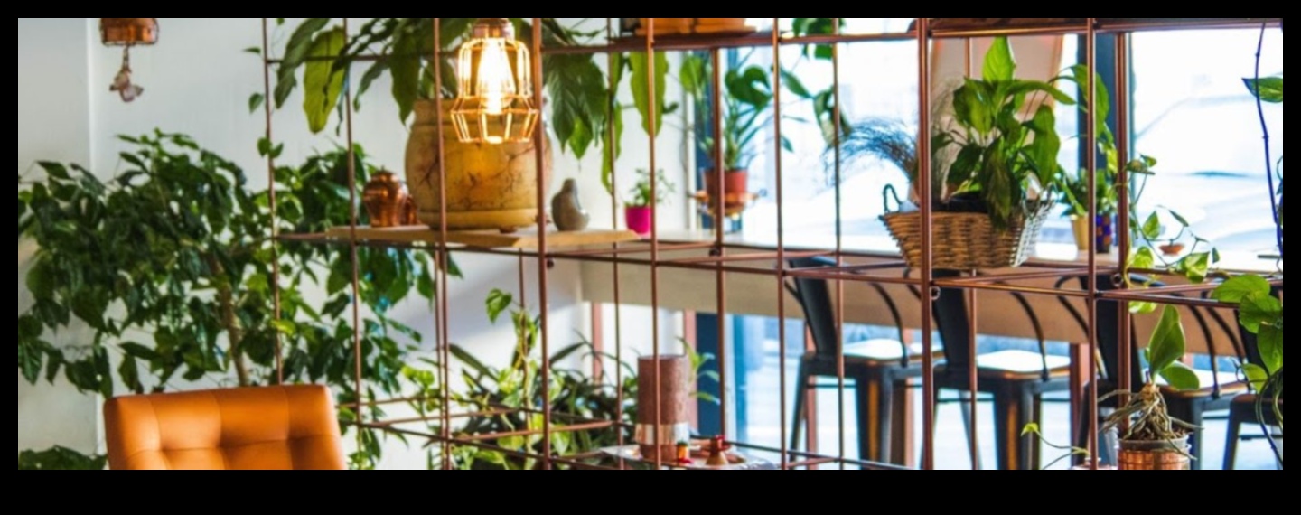 אואזיס מקורה: שנה את הבית שלך עם גינון