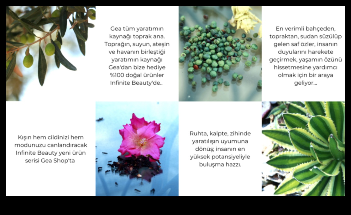 עלי כותרת של אפשרות: היופי האינסופי של גננות