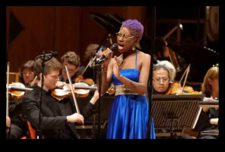 סימפוניית האבטחה: הרמוניזציה של חזון אמנותי ודיוק טכני