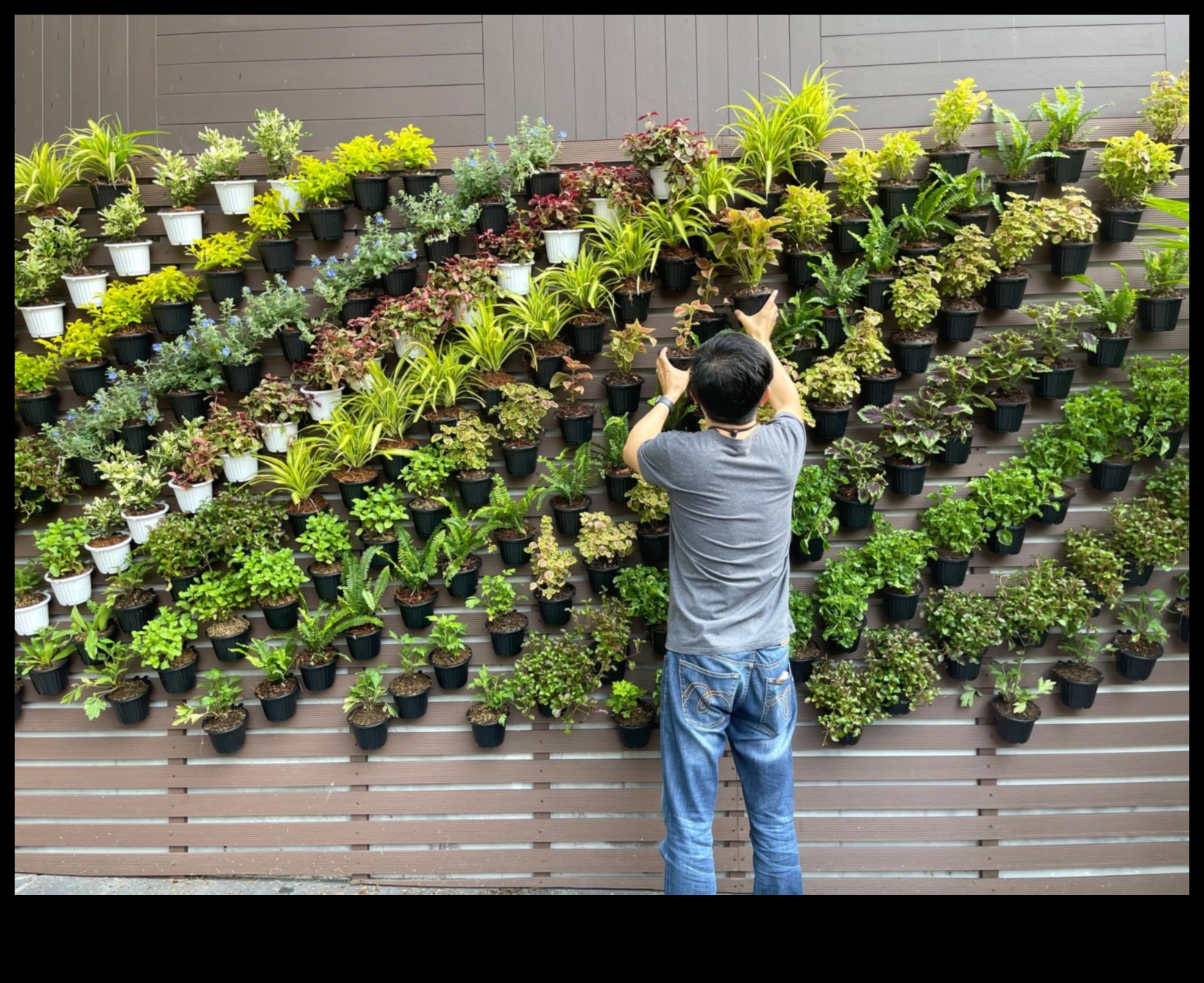 יצירה ירוקה: הרפתקאות עשה זאת בעצמך לגן משגשג