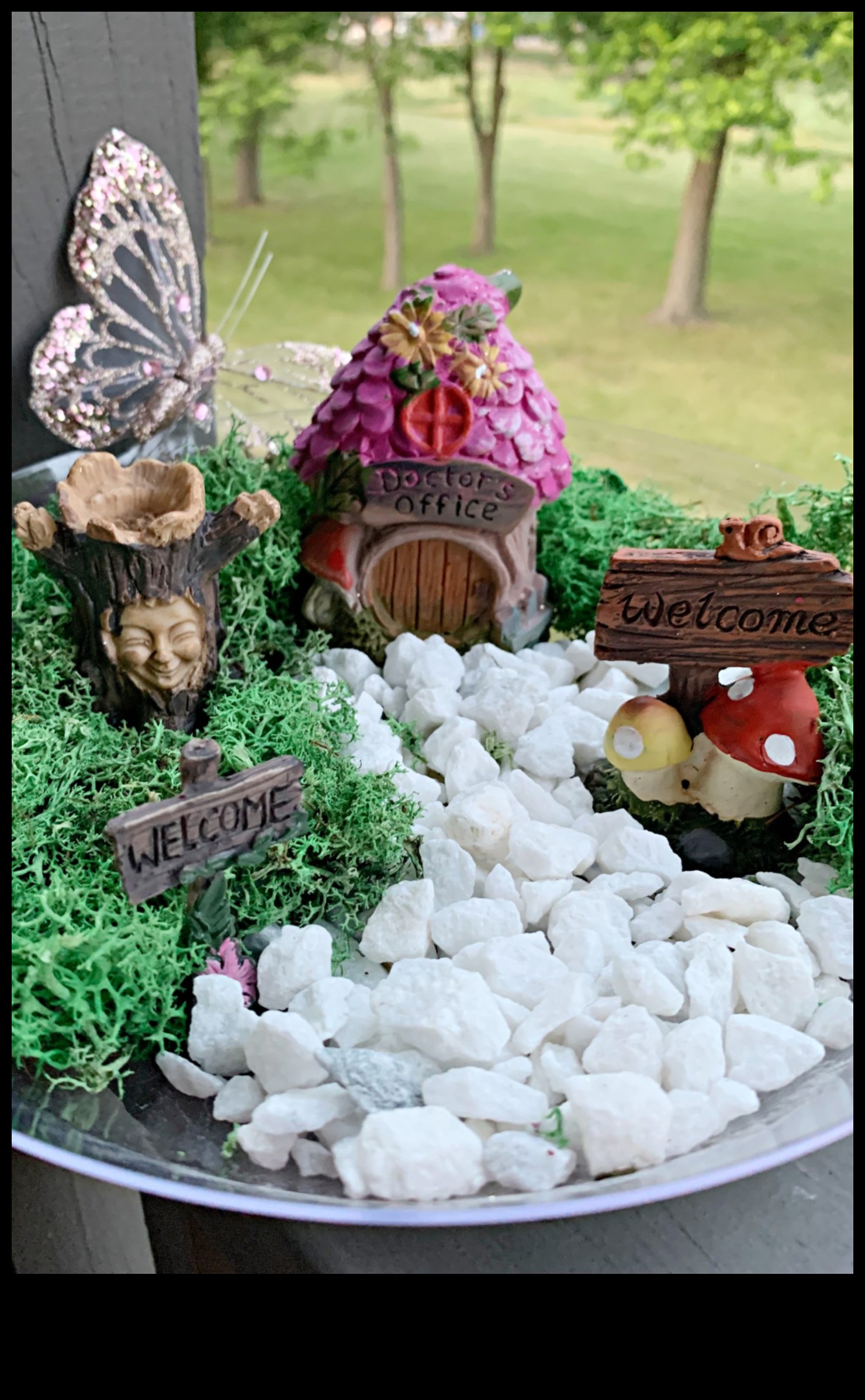 יצירה ירוקה: הרפתקאות עשה זאת בעצמך לגן משגשג