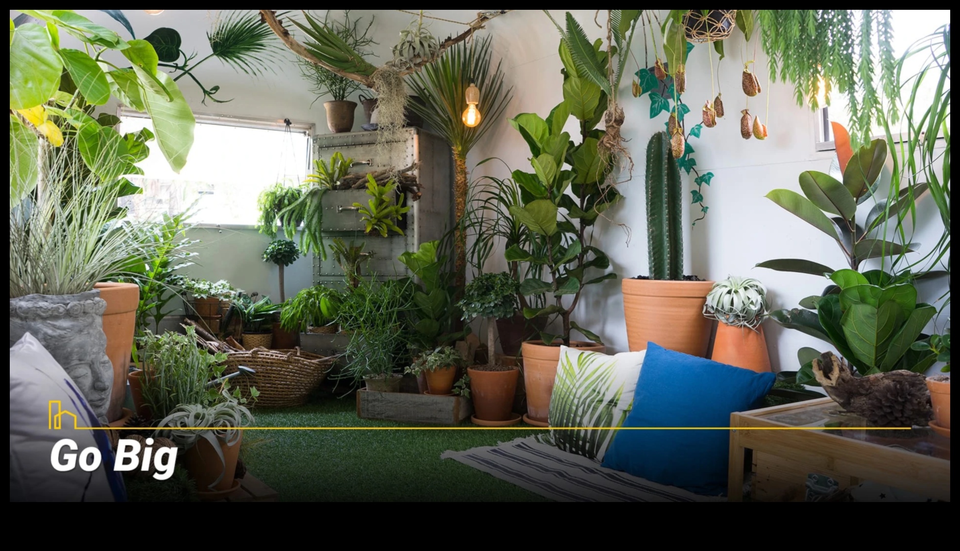 הרם את הגינה שלך: טיפים חיוניים לשפע של ירק