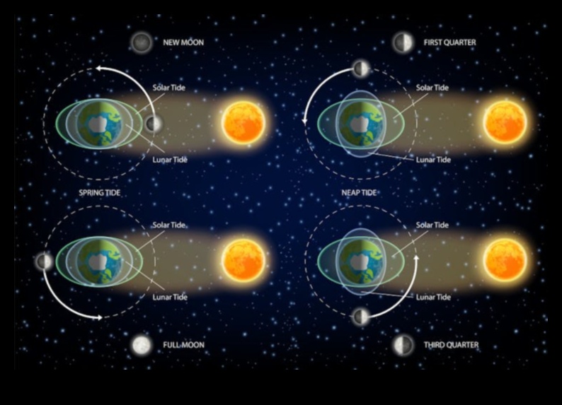 תובנות מסלוליות: ניווט בנבכי הנתיבים השמימיים