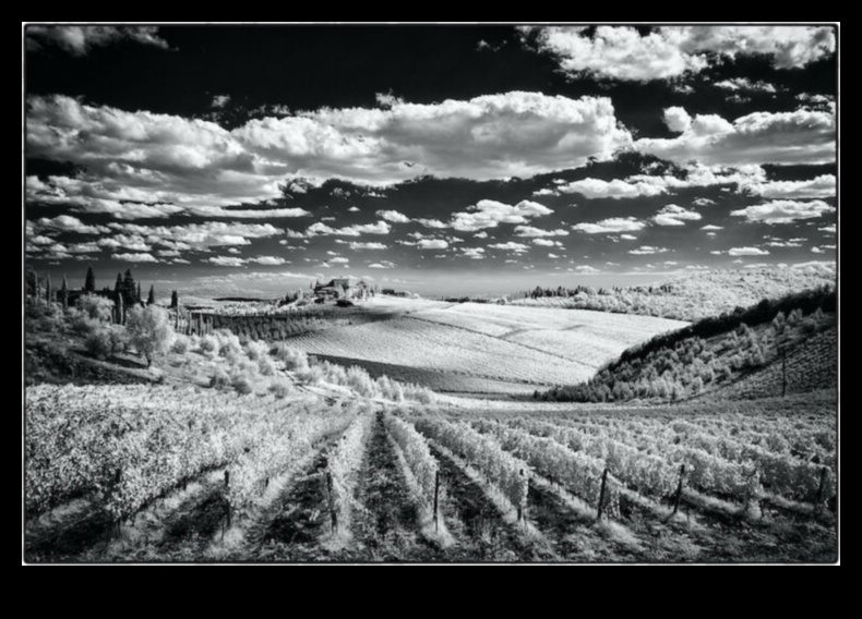 תובנות אינפרא אדום: חקר אומנות הצילום הבלתי שגרתי