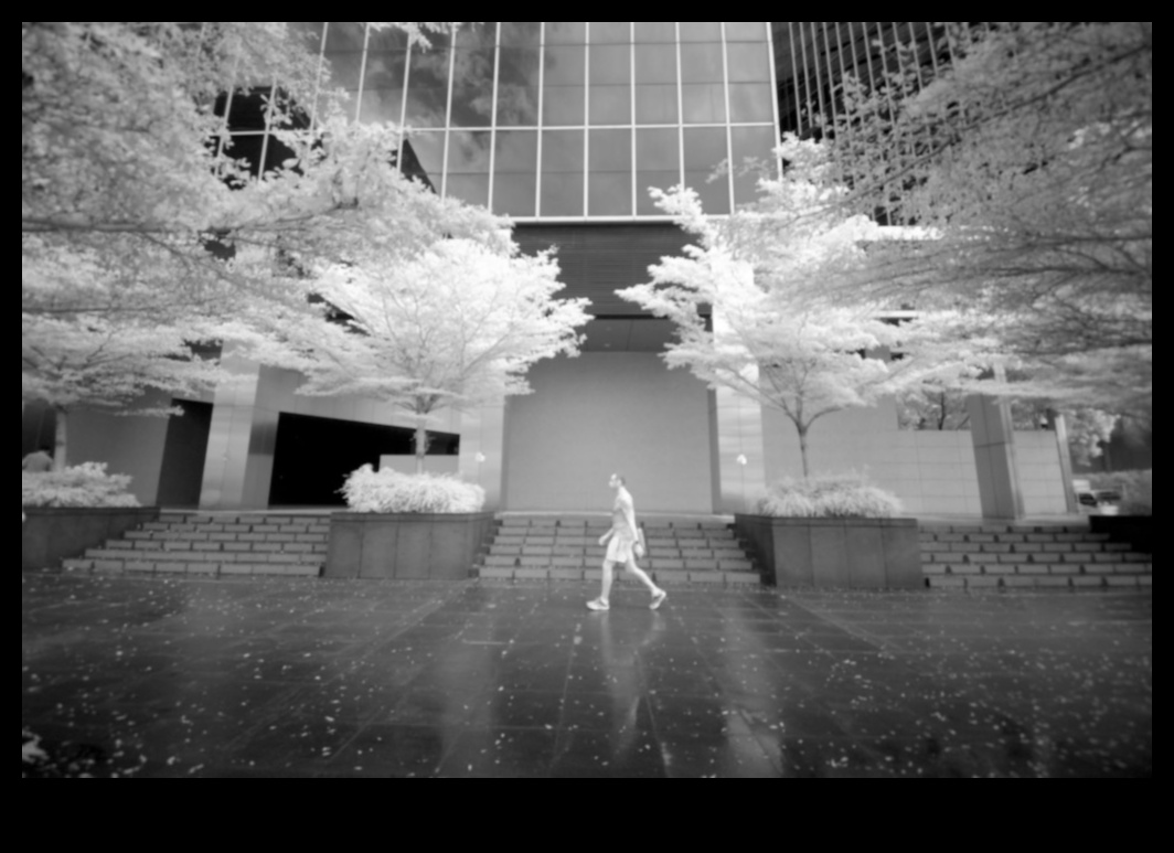 תובנות אינפרא אדום: חקר אומנות הצילום הבלתי שגרתי