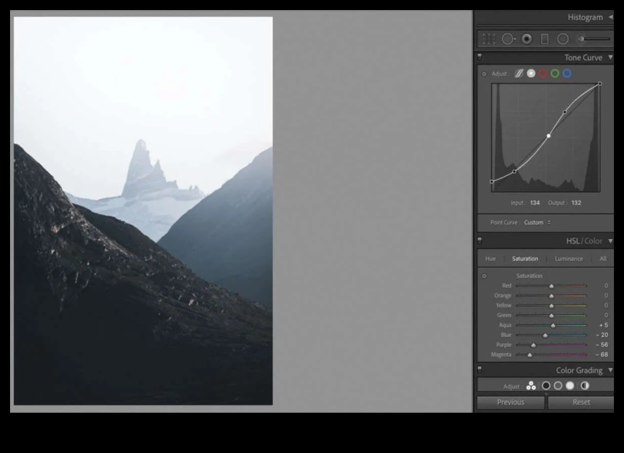 סודות תריס: טיפים מקצועיים להשגת צילומים מדהימים