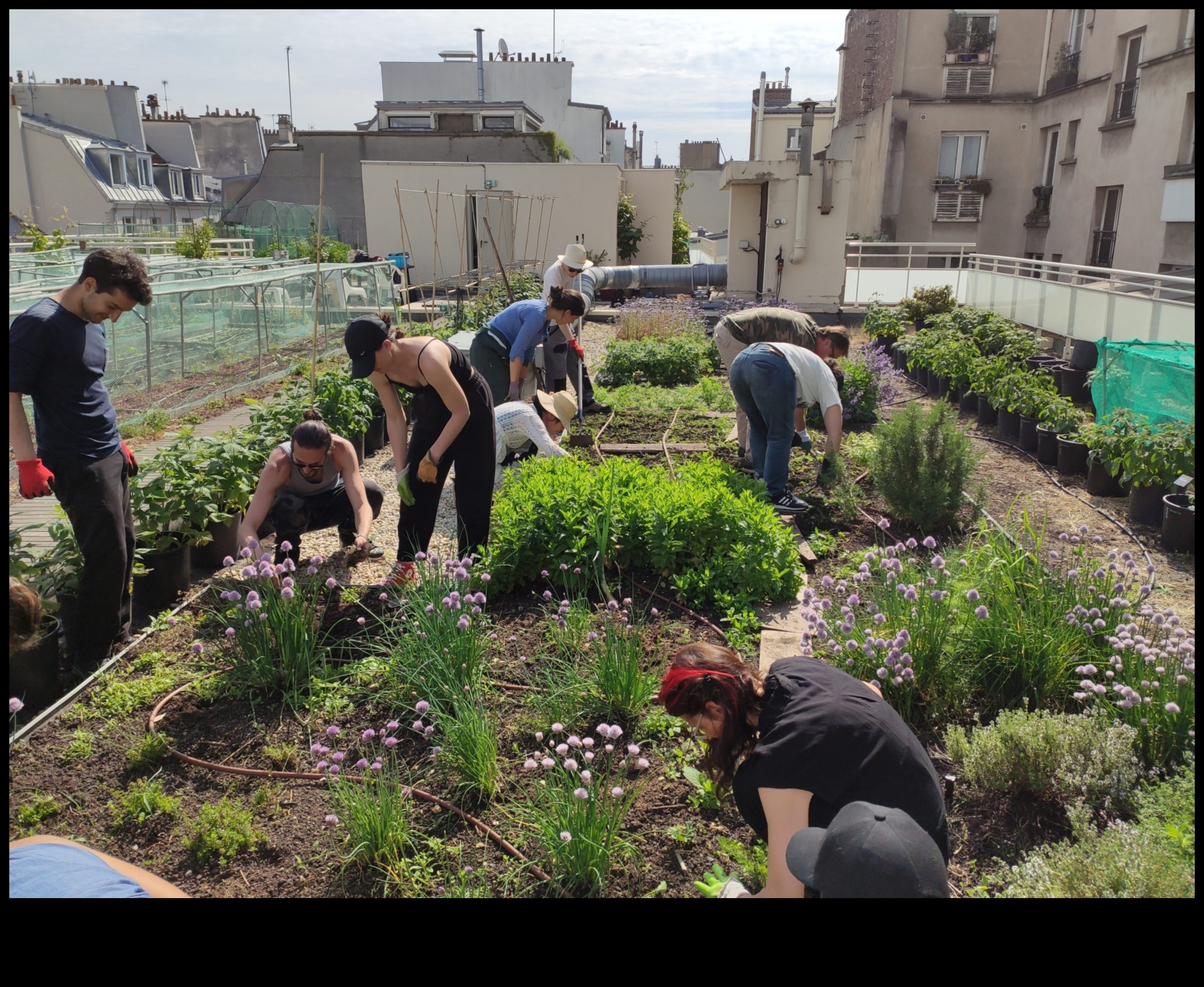 אופקי גננות: חקר מעמקי חינוך גן