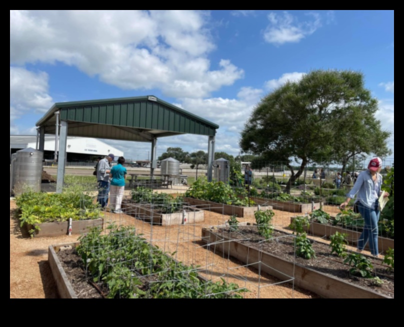 אופקי גננות: חקר מעמקי חינוך גן