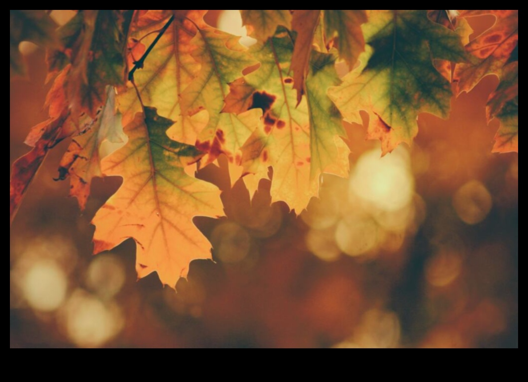 Autumn Aura: טכניקות לצילום הגוונים החמים של הסתיו