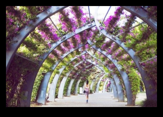 Blossom Bliss: עשה זאת בעצמך Marvels עבור גן עדן מדהים