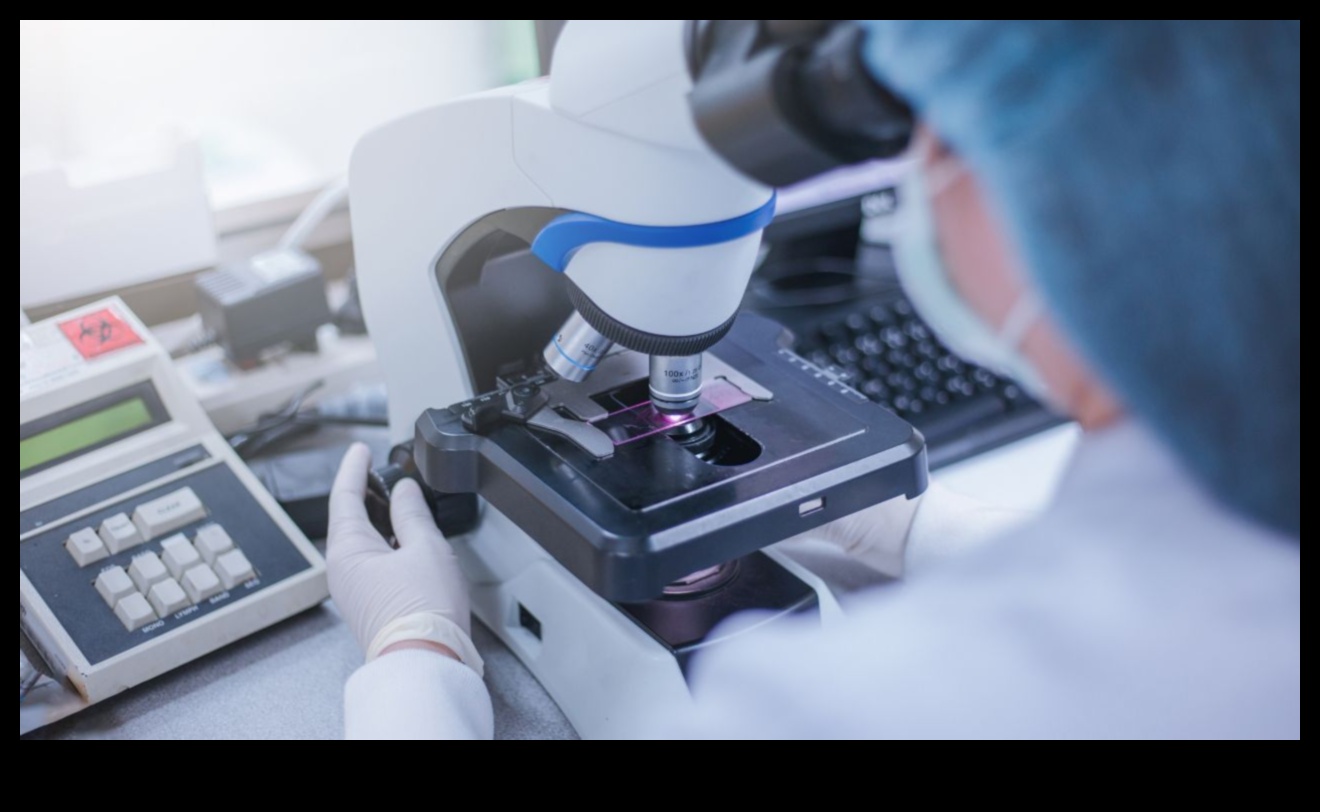 בריאות IT Chronicles: סיפורי שליטה ביצירת פתרונות בריאות