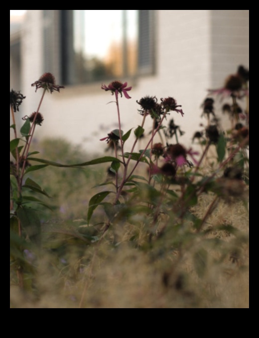 עלי כותרת והתקדמות: ניווט בעונות השנה עם תחזוקת גינה