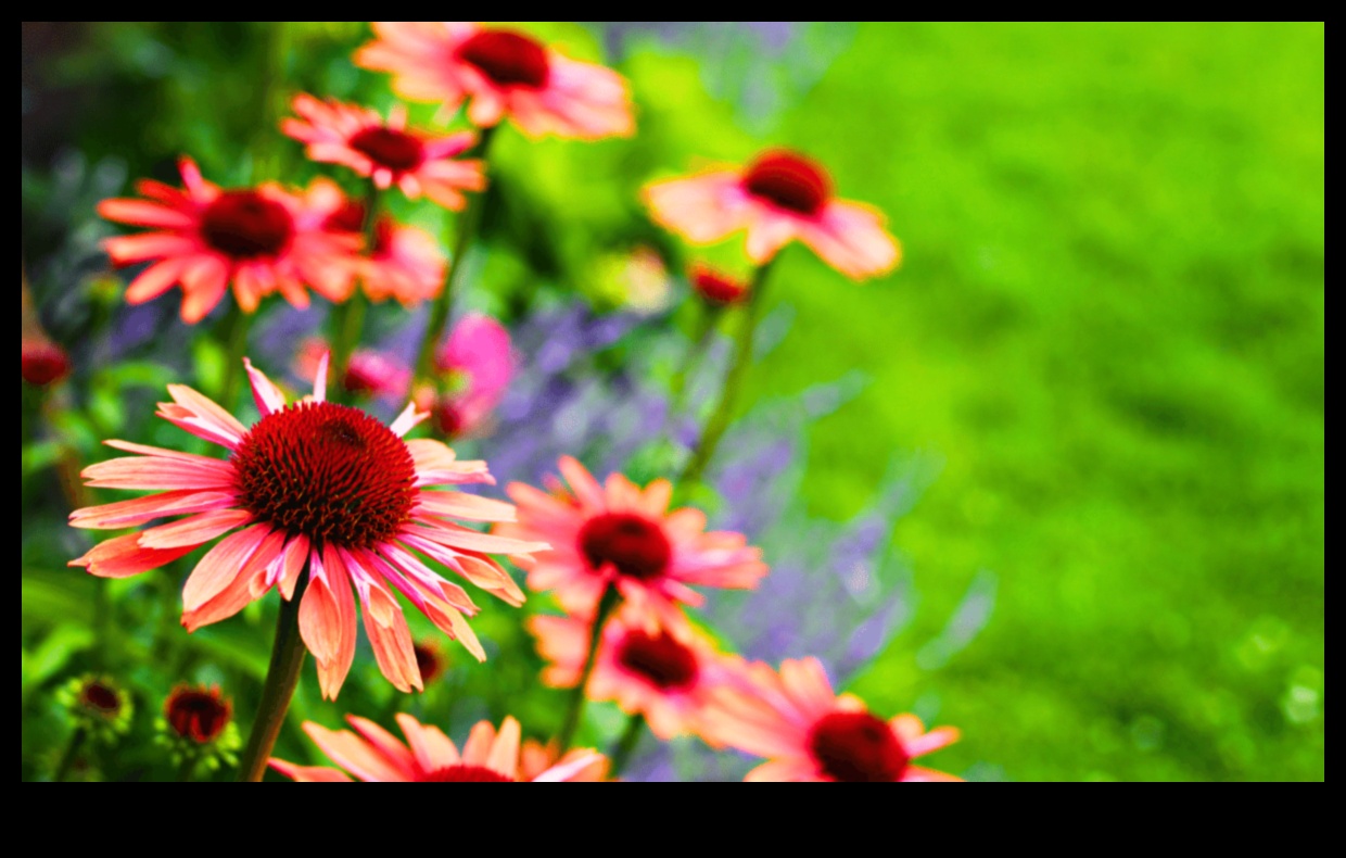 עלי כותרת והתקדמות: ניווט בעונות השנה עם תחזוקת גינה