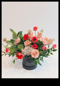 עלי כותרת של אפשרות: היופי האינסופי של גננות