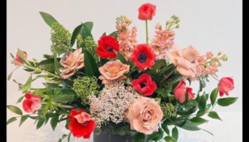 עלי כותרת של אפשרות: היופי האינסופי של גננות