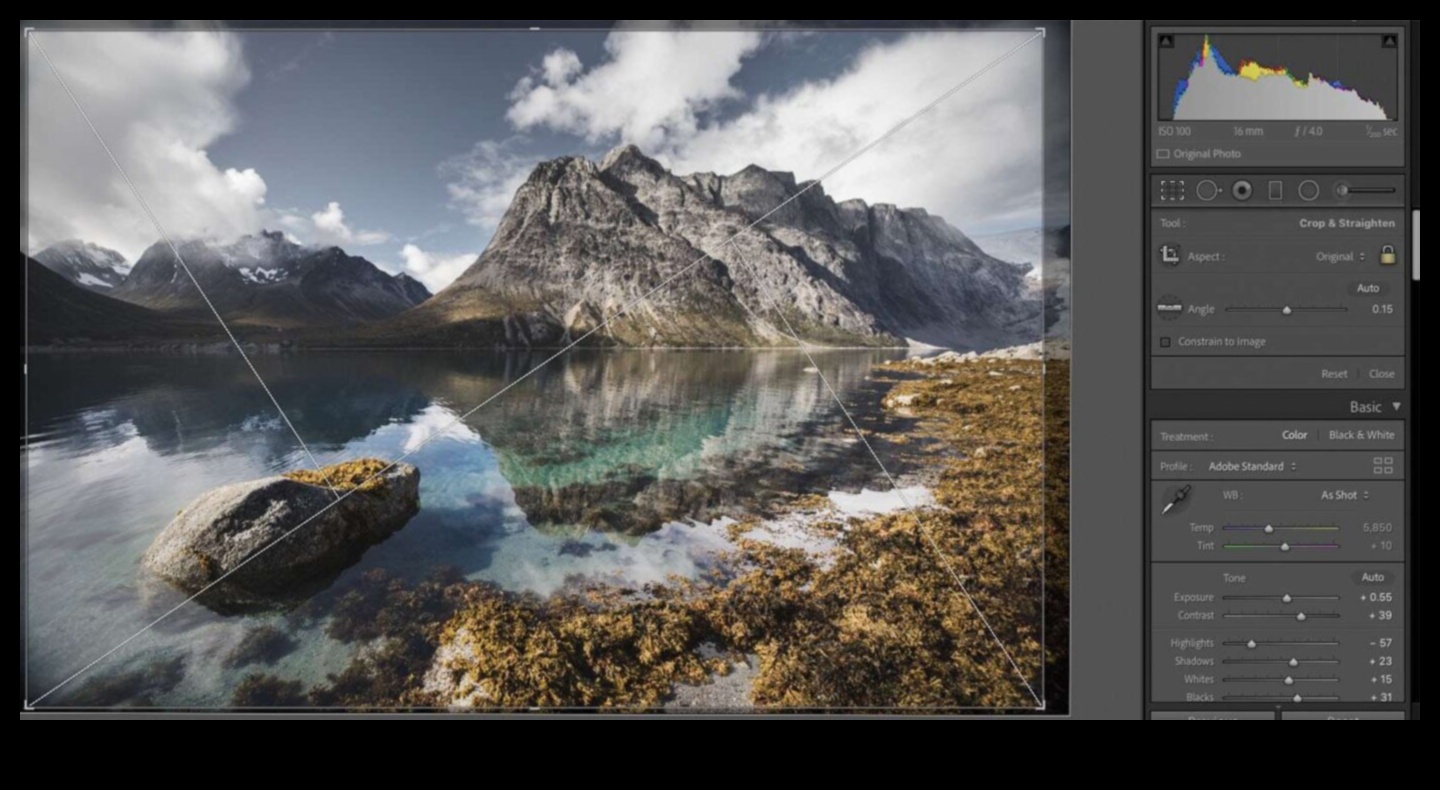 סודות תריס: טיפים מקצועיים להשגת צילומים מדהימים