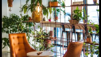 אואזיס מקורה: שנה את הבית שלך עם גינון