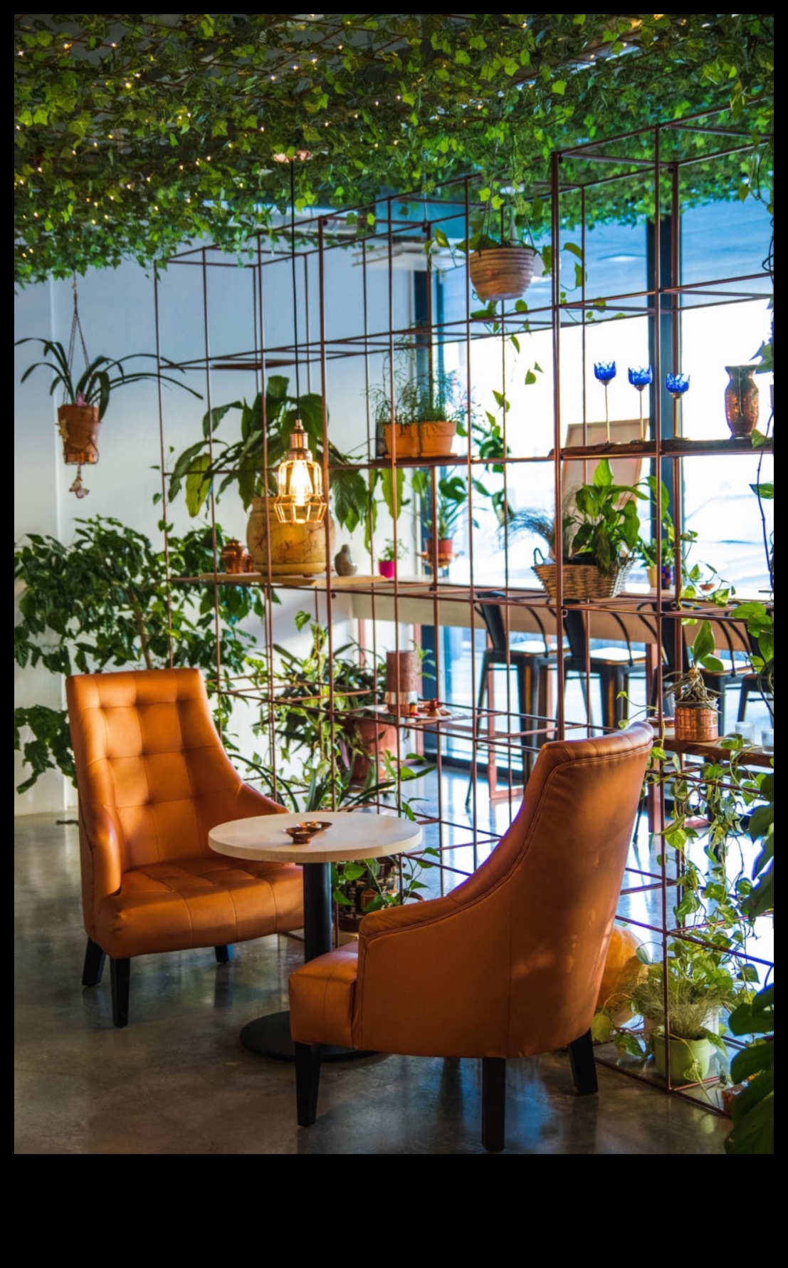 אואזיס מקורה: שנה את הבית שלך עם גינון