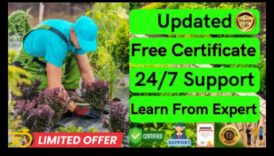 אופקי גננות: חקר מעמקי חינוך גן