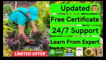 אופקי גננות: חקר מעמקי חינוך גן