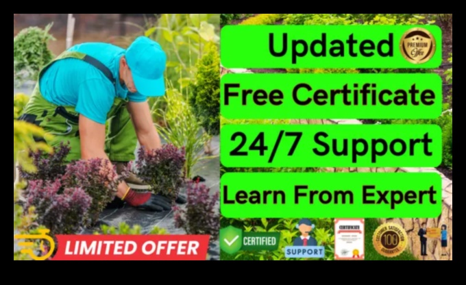 אופקי גננות: חקר מעמקי חינוך גן