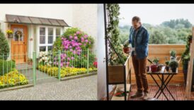 הרם את הגינה שלך: טיפים חיוניים לשפע של ירק