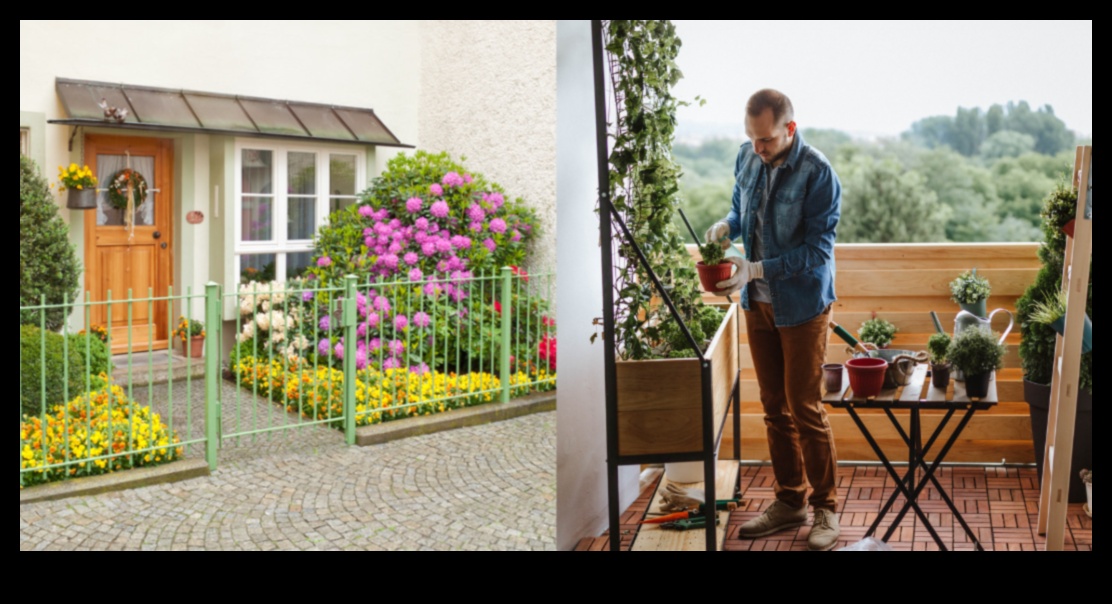 הרם את הגינה שלך: טיפים חיוניים לשפע של ירק