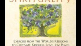 נחשפה מדיטציה: קריאות חיוניות למסע הרוחני שלך