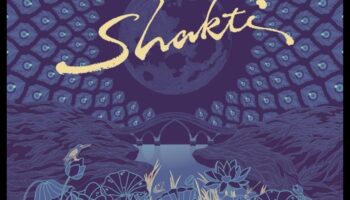 סימפוניית האבטחה: הרמוניזציה של חזון אמנותי ודיוק טכני