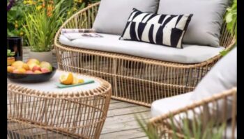 פריחה בסטייל: בחירת ריהוט גן אופנתית ונוחה