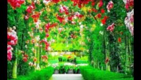 תפאורות עוצרות נשימה: פאר עיצוב גן