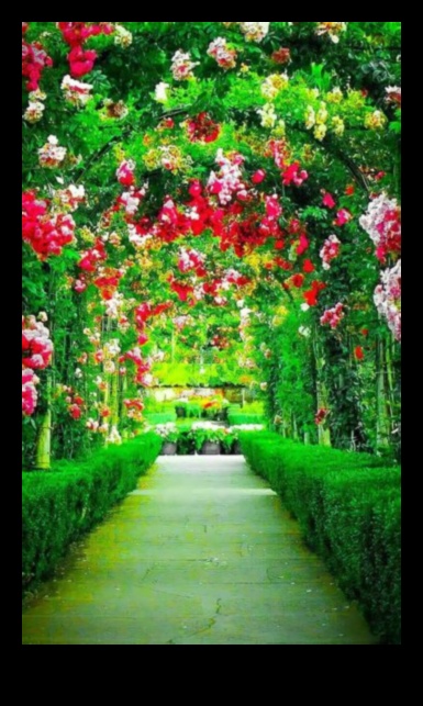 תפאורות עוצרות נשימה: פאר עיצוב גן